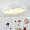 Plafonnier Rhone LED Blanc, 1 lumière, Changeur de couleurs