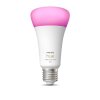 LED E27 15 Watt 2200 - 6500 Kelvin 1200 Lumen Philips Hue White & Color Ambiance