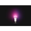 LED E27 15 Watt 2200 - 6500 Kelvin 1200 Lumen Philips Hue White & Color Ambiance