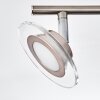 Plafonnier Marsen LED Nickel mat, 4 lumières, Télécommandes, Changeur de couleurs