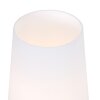 Lampe de table Steinhauer Ancilla Acier inoxydable, 1 lumière