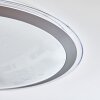 Plafonnier Gorgonta LED Blanc, 2 lumières, Télécommandes, Changeur de couleurs