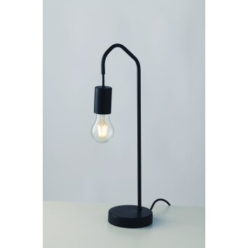 Lampe de table Cuyama Noir, 1 lumière