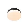Plafonnier Steinhauer Ikaro LED Noir, 1 lumière