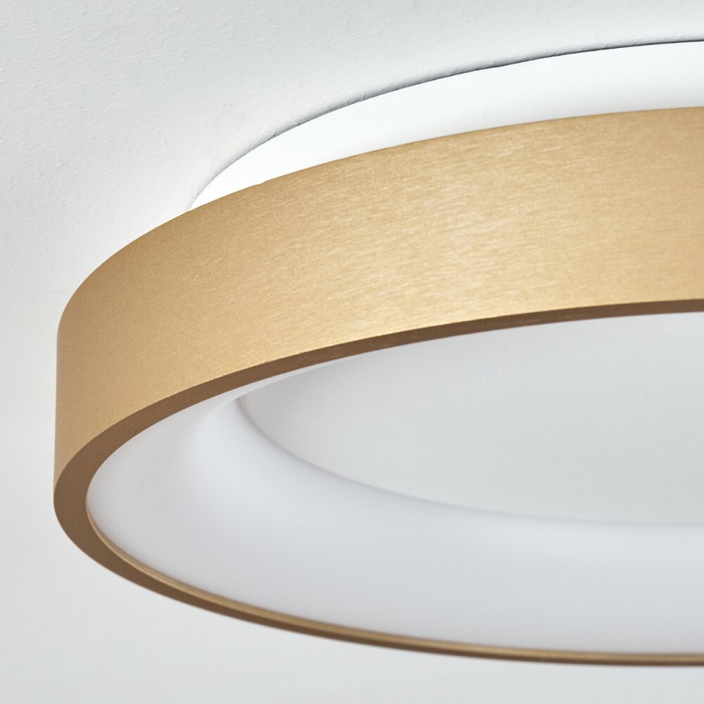 Plafonnier Charata LED Blanc, 1 lumière