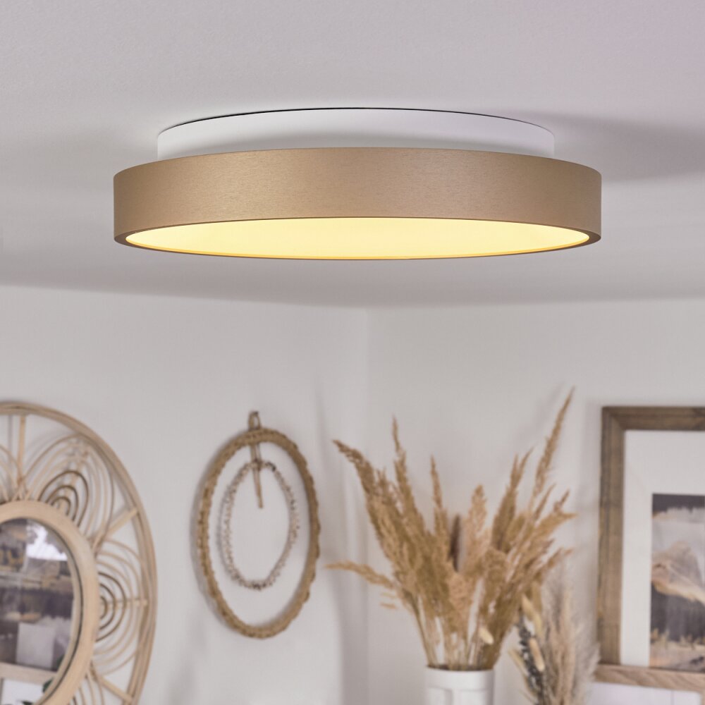 Plafonnier Charata LED Blanc, 1 lumière