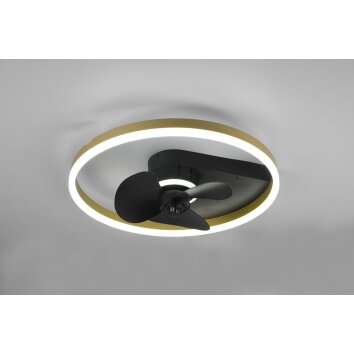 Ventilateur de plafond Reality Borgholm LED Or, Noir, 1 lumière, Télécommandes