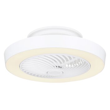 Ventilateur de plafond Globo DOMEY LED Blanc, 1 lumière, Télécommandes