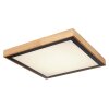 Plafonnier Globo BRUNO LED Blanc, 1 lumière