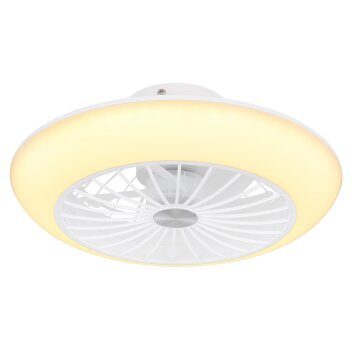 Ventilateur de plafond Globo LAFFEE LED Blanc, 1 lumière