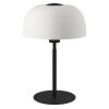 Lampe de table Eglo SOLO Noir, 1 lumière