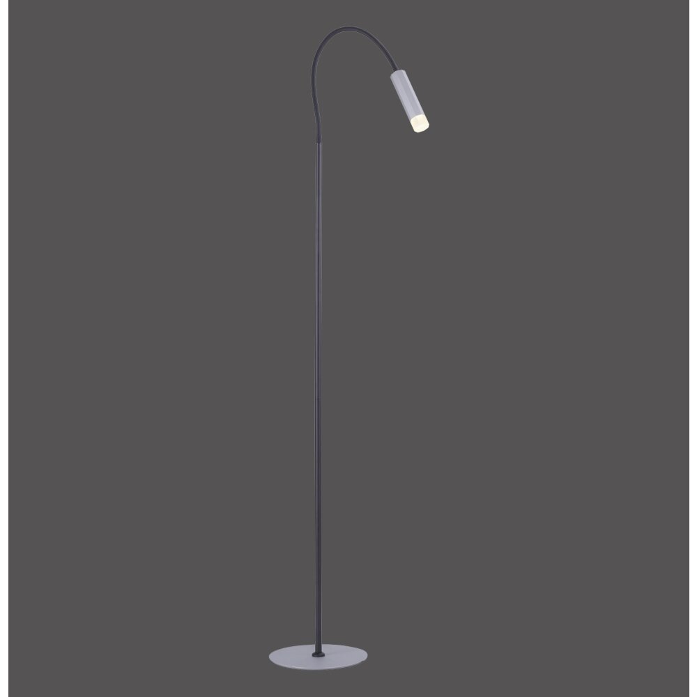 Lampadaire Paul Neuhaus PURE-GEMIN LED Aluminium, Noir, 1 lumière