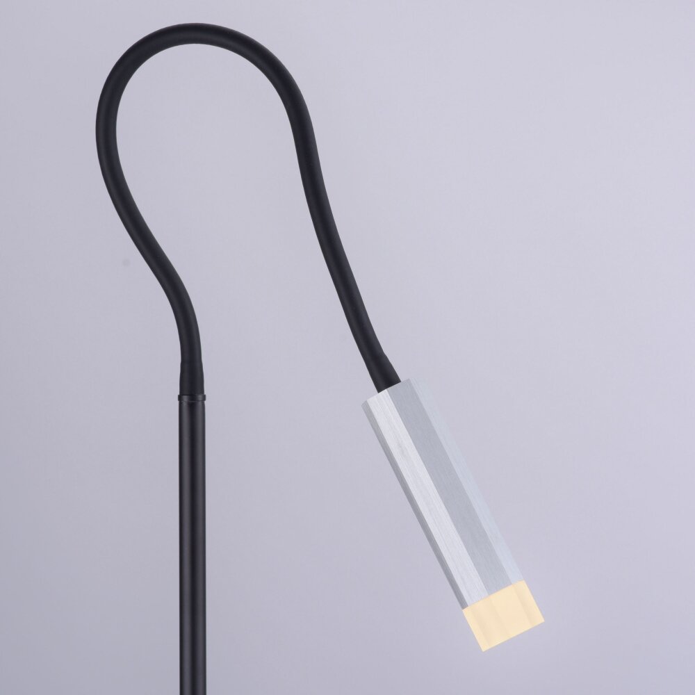 Lampadaire Paul Neuhaus PURE-GEMIN LED Aluminium, Noir, 1 lumière