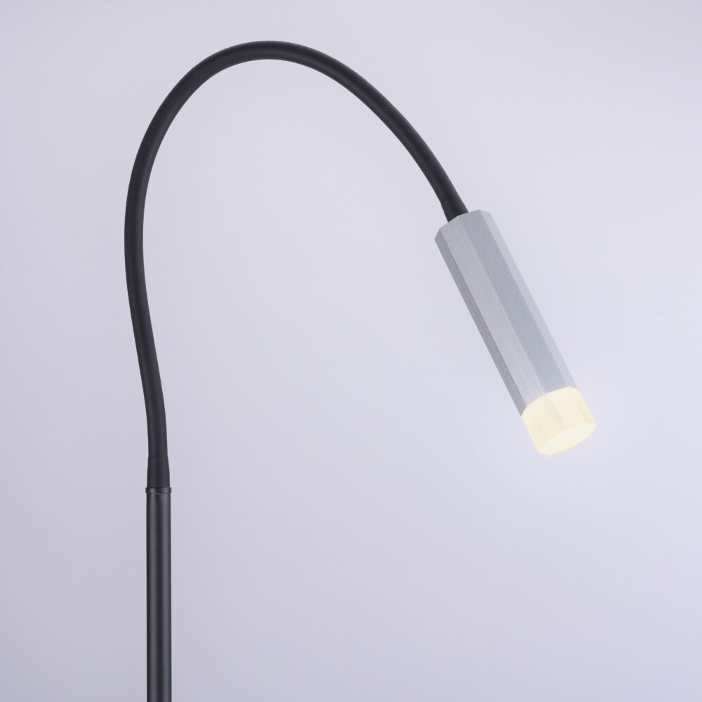 Lampadaire Paul Neuhaus PURE-GEMIN LED Aluminium, Noir, 1 lumière
