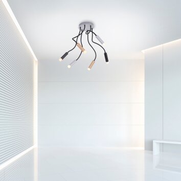 Plafonnier Paul Neuhaus PURE-GEMIN LED Aluminium, Laiton, Noir, 6 lumières