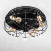 Ventilateur de plafond Moscavide Laiton, Noir, 4 lumières, Télécommandes