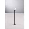 Borne lumineuse Luce Design DROP Anthracite, 1 lumière Borne lumineuse Luce Design DROP Anthracite, 1 lumière