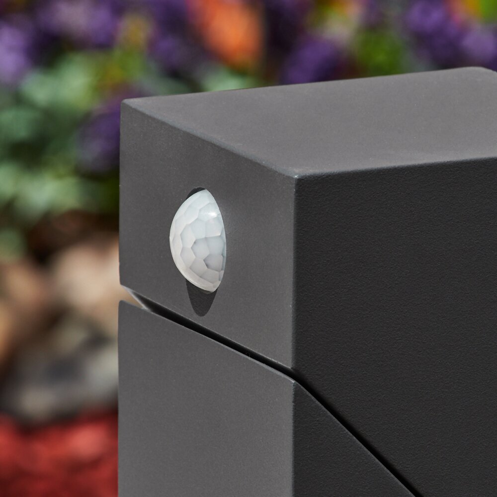 Borne lumineuse  Toogong LED Anthracite, 1 lumière, Détecteur de mouvement