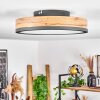 Plafonnier  Salmi LED Anthracite, Brun, Couleur bois, 1 lumière