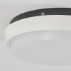 plafonnier extérieur  Centinela LED Anthracite, Blanc, 1 lumière