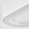 plafonnier extérieur  Paleroo LED Blanc, 1 lumière