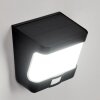 applique solaire  Colchagua LED Noir, Blanc, 1 lumière, Détecteur de mouvement
