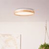 Plafonnier Brilliant Alson LED Blanc, 1 lumière
