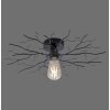 Plafonnier Leuchten-Direkt LIMB Noir, 1 lumière