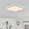 Plafonnier  Canditas LED Blanc, 1 lumière