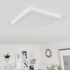 Plafonnier  Canditas LED Blanc, 1 lumière