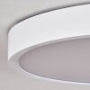 Plafonnier  Pontchardon LED Blanc, 1 lumière