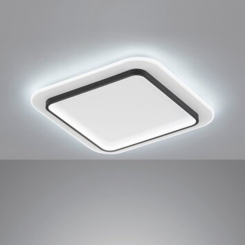 Plafonnier Fischer & Honsel Blithe LED Noir, Blanc, 1 lumière