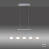 Suspension Paul Neuhaus HYDRA LED Acier brossé, 5 lumières