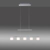 Suspension Paul Neuhaus HYDRA LED Acier brossé, 5 lumières