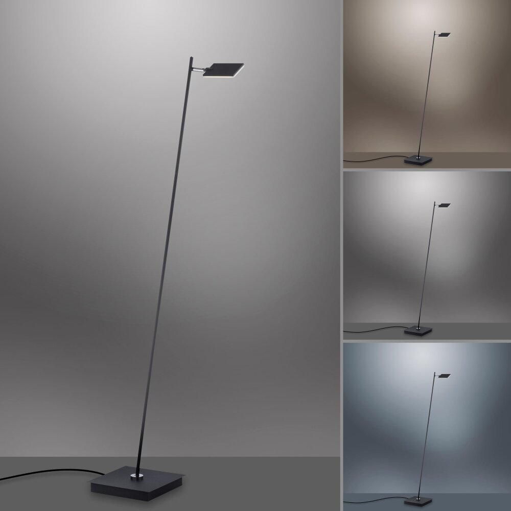 Lampadaire Paul Neuhaus PURE-MIRA LED Noir, 1 lumière, Télécommandes