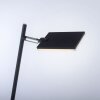Lampadaire Paul Neuhaus PURE-MIRA LED Noir, 1 lumière, Télécommandes