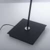 Lampadaire Paul Neuhaus PURE-MIRA LED Noir, 1 lumière, Télécommandes