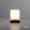 Lampe de table Paul Neuhaus DADOA LED Anthracite, 1 lumière