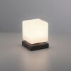 Lampe de table Paul Neuhaus DADOA LED Anthracite, 1 lumière