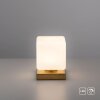 Lampe de table Paul Neuhaus DADOA LED Laiton, 1 lumière