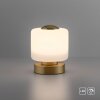 Lampe de table Paul Neuhaus BOTA LED Laiton, 1 lumière