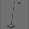 Lampe de table Paul Neuhaus PURE-MIRA LED Noir, 1 lumière, Télécommandes