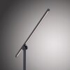 Lampe de table Paul Neuhaus PURE-GRAFO LED Noir, 1 lumière