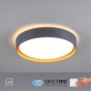 Plafonnier Leuchten-Direkt EMILIA LED Gris, Écru, 1 lumière