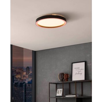 Plafonnier Eglo MONTEMORELOS-Z LED Noir, 1 lumière, Changeur de couleurs