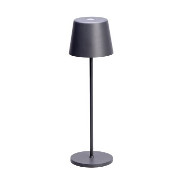 Lampe de table CMD AQUA TABLE LED Anthracite, 1 lumière