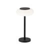 Lampe de table Paul Neuhaus Q-ETIENNE LED Noir, 1 lumière, Télécommandes