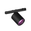 Spot Philips Hue Perifo LED Noir, 1 lumière, Changeur de couleurs