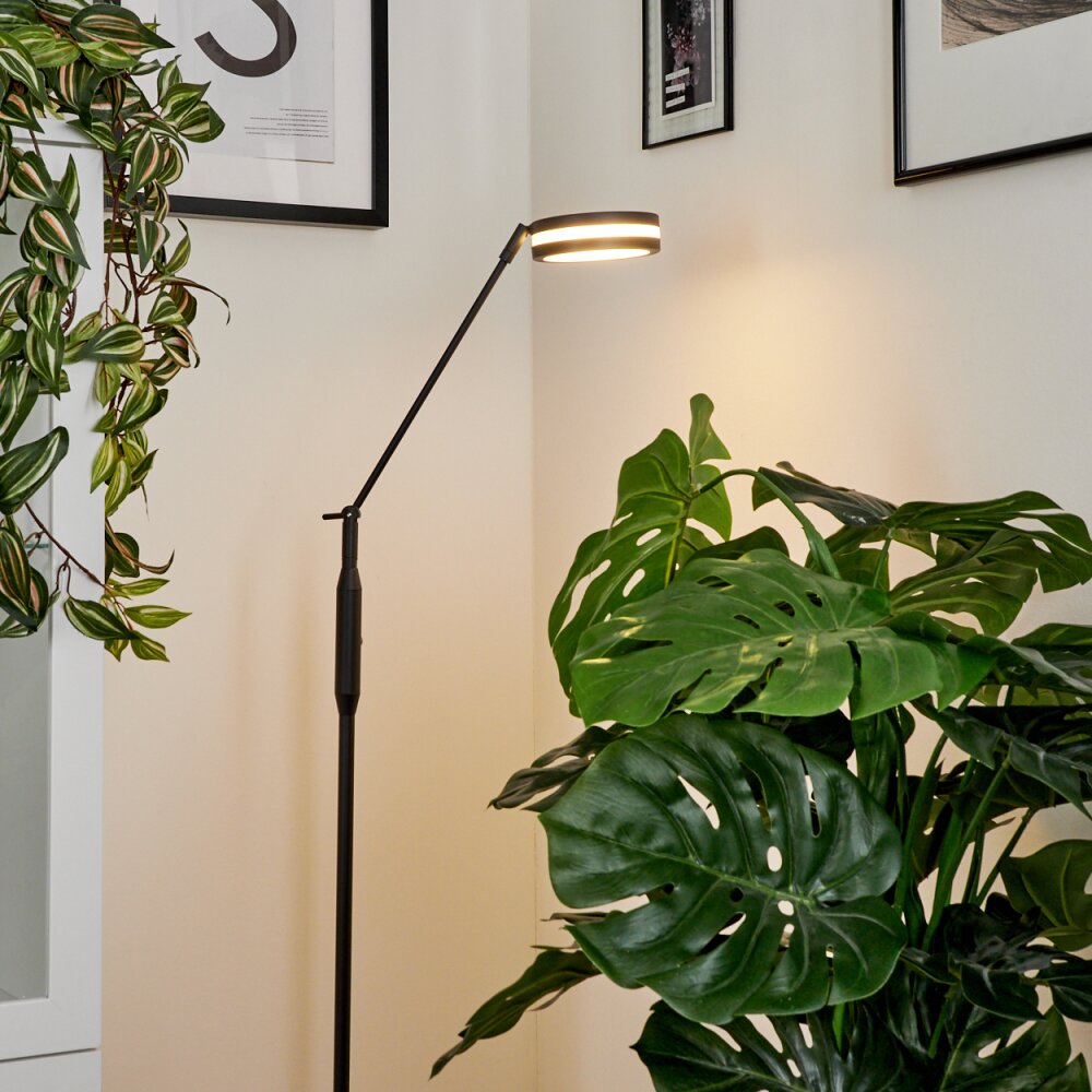 Lampadaire  Huallilemu LED Anthracite, 1 lumière
