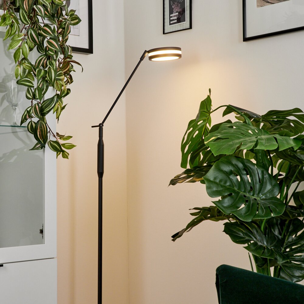 Lampadaire  Huallilemu LED Anthracite, 1 lumière